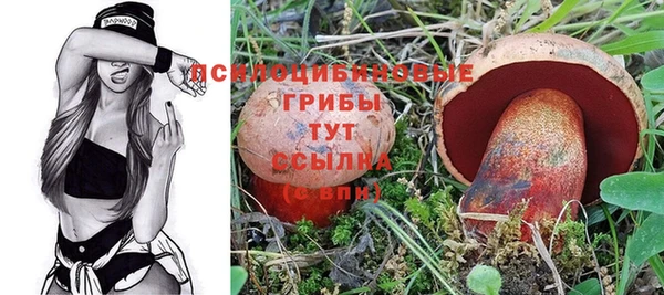 соль курить ск Козловка