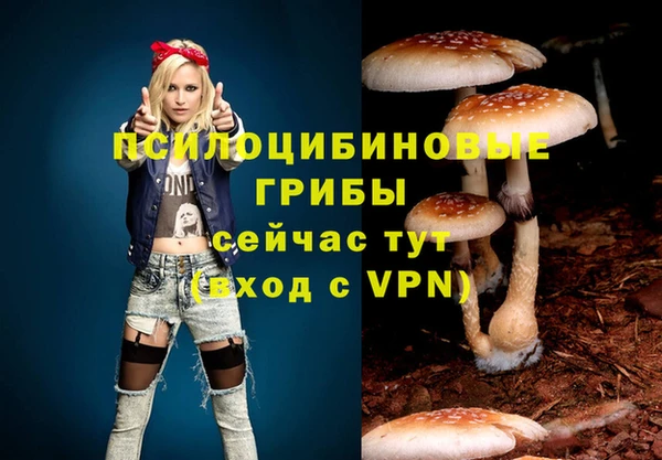 соль курить ск Козловка