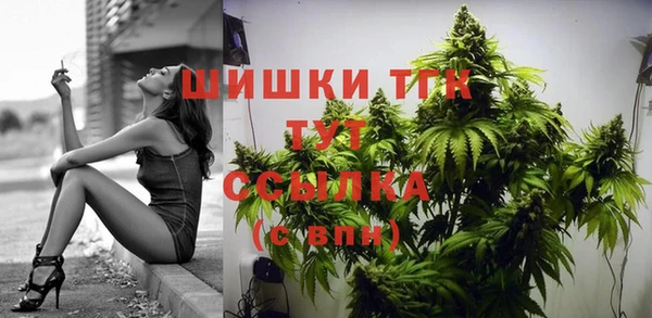 соль курить ск Козловка
